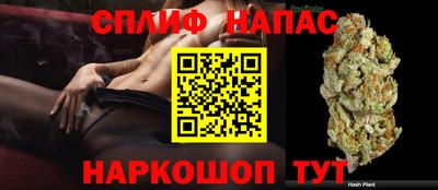apvp Краснознаменск