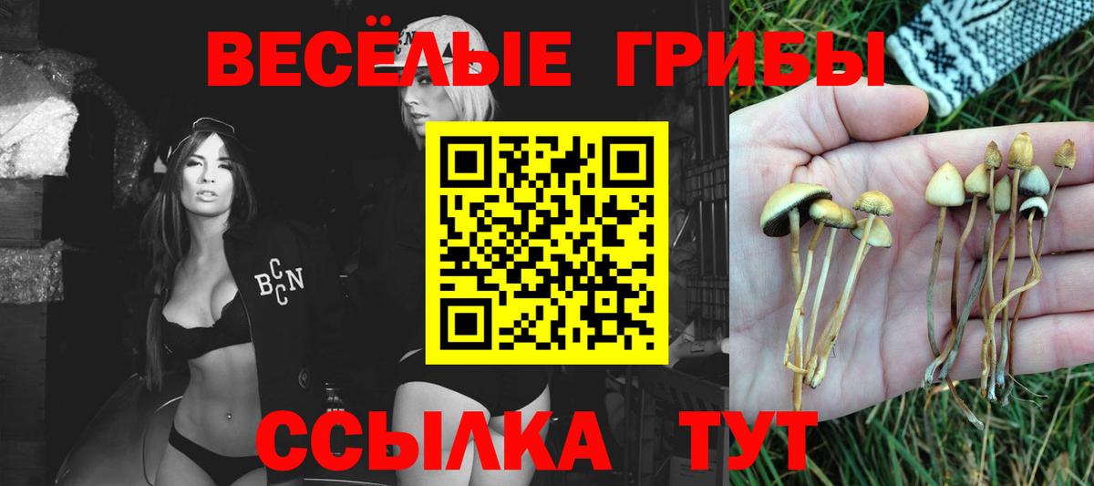 Галлюциногенные грибы ЛСД  Вход с VPN  как найти наркотики  Бирск 